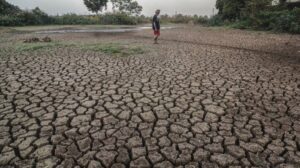 Ancaman Kekeringan Hantui Petani di Soppeng, Dewan Minta Kolaborasi Pemerintah Pusat dan Daerah