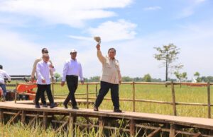 Prabowo Apresiasi Gerak Cepat Mentan Amran: Tiap Saya Cari, Beliau Selalu Ada di Sawah