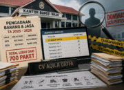 Selain Bone, Wajo Lebih “Gila”: CV Aqila Daffa Kuasai Lebih 700 Paket Pengadaan