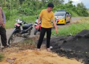 Warga Tonra geger temukan bayi baru lahir dibungkus sarung dalam kardus