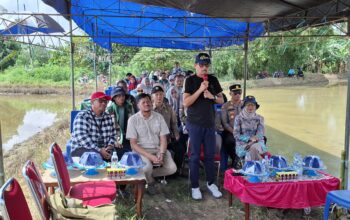 Eksistensi Pinrang Sebagai Salah Satu Lumbung Pangan di Sulsel