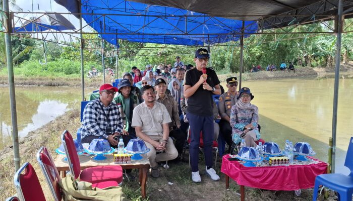 Eksistensi Pinrang Sebagai Salah Satu Lumbung Pangan di Sulsel