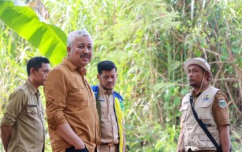 Abrasi Ancam Sawah dan Pemukiman, Bupati Irwan Turun Langsung Tinjau Tanggul di Duampanua