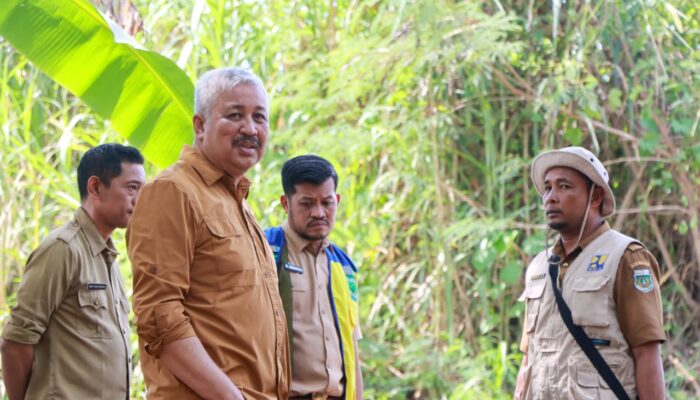 Abrasi Ancam Sawah dan Pemukiman, Bupati Irwan Turun Langsung Tinjau Tanggul di Duampanua