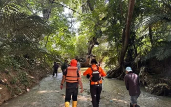 Lansia di Soppeng Hilang Saat Menuju Kebun, Tim SAR Sisir Sungai Sejauh 5 Kilometer