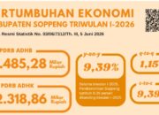 Belanja Pemerintah,Sektor Pertanian dan MBG Jadi Motor Pertumbuhan Ekonomi Soppeng