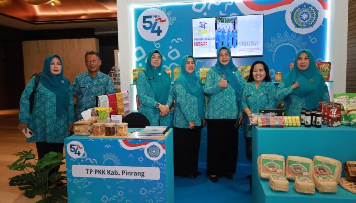 TP PKK Pinrang Dorong UMKM dan Perkuat Kesehatan Ibu Hamil, Lampaui Target Rekor MURI MMS