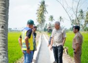 Hadapi Musim Kemarau, Bupati Pinrang Optimalkan Program Irpom untuk Selamatkan Sawah Petani