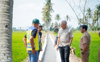 Hadapi Musim Kemarau, Bupati Pinrang Optimalkan Program Irpom untuk Selamatkan Sawah Petani