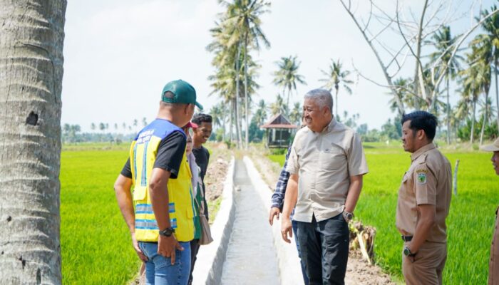 Hadapi Musim Kemarau, Bupati Pinrang Optimalkan Program Irpom untuk Selamatkan Sawah Petani