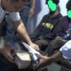 Satresnarkoba Polres Bone Gagalkan Peredaran 520 Gram Ganja yang Dikirim Lewat Ekspedisi