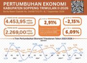 Pertumbuhan Ekonomi Soppeng Melambat, dari 9,39 Persen di Triwulan I Menjadi 2,91 Persen