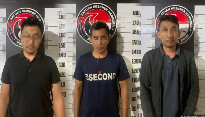 Tiga Pria Diamankan Satresnarkoba Bone, Satu Diantaranya Disebut Anak Anggota DPRD