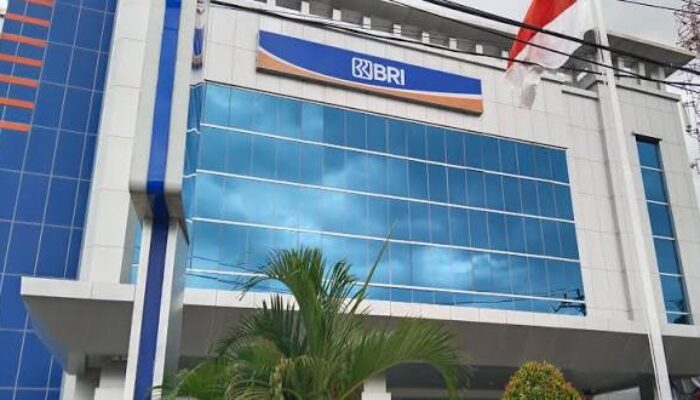 Hati-Hati Kredit di BRI, Sudah Bayar Tapi Agunan Terancam Dilelang