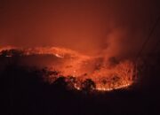 Kebakaran Hutan di Soppeng Meluas, Warga dan Petugas Berjibaku Padamkan Api