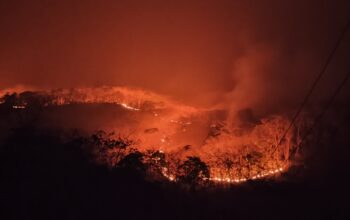 Kebakaran Hutan di Soppeng Meluas, Warga dan Petugas Berjibaku Padamkan Api