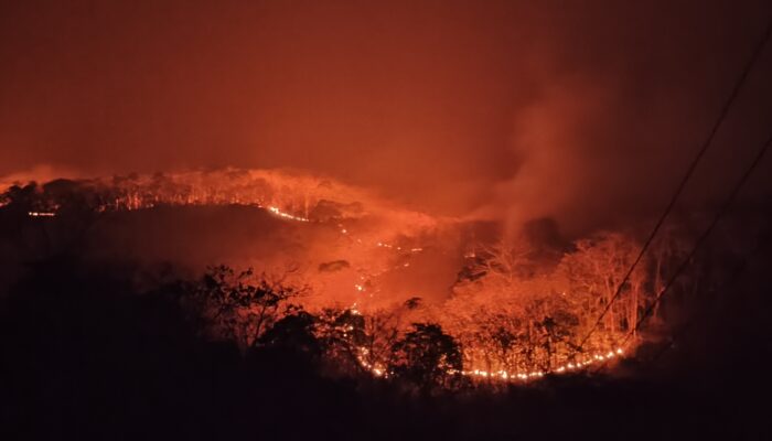 Kebakaran Hutan di Soppeng Meluas, Warga dan Petugas Berjibaku Padamkan Api